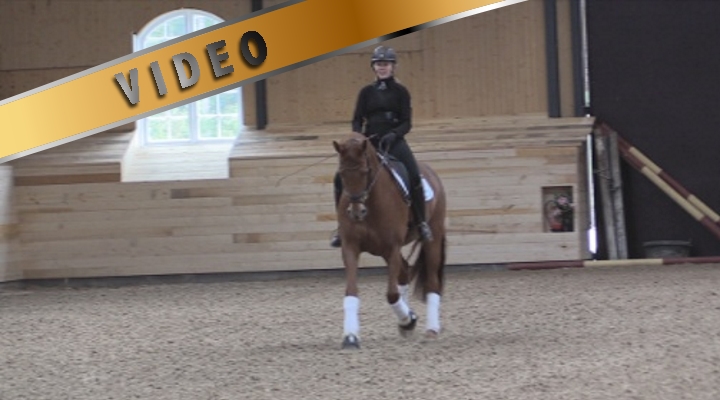 Hermostuneen ja jännittyneen hevosen ratsastaminen – treenivideot Anna von Wendt