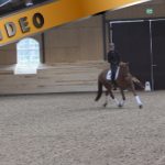 Treenisarja: kouluradan ratsastaminen 2 – Anna von Wendt